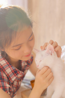 女人和牛马羊猪狗